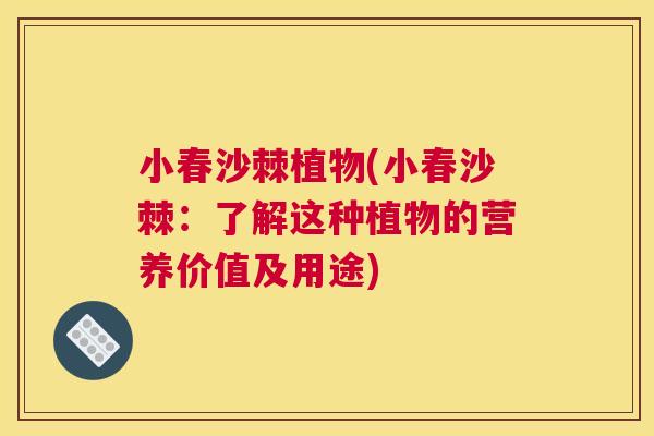 小春沙棘植物(小春沙棘：了解这种植物的营养价值及用途)
