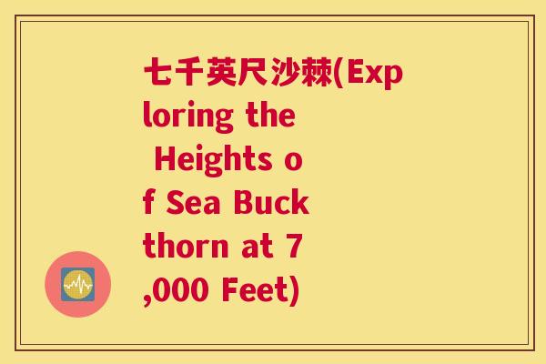 七千英尺沙棘(Exploring the Heights of Sea Buckthorn at 7,000 Feet)