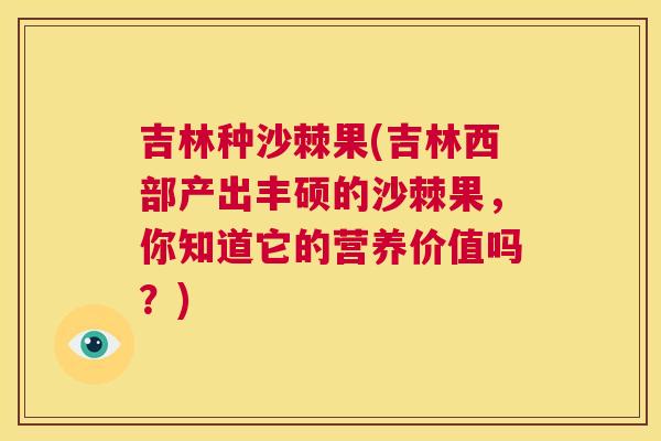 吉林种沙棘果(吉林西部产出丰硕的沙棘果，你知道它的营养价值吗？)