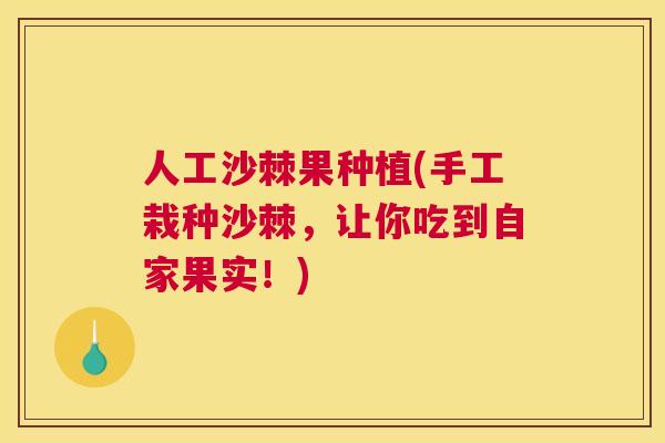 人工沙棘果种植(手工栽种沙棘，让你吃到自家果实！)