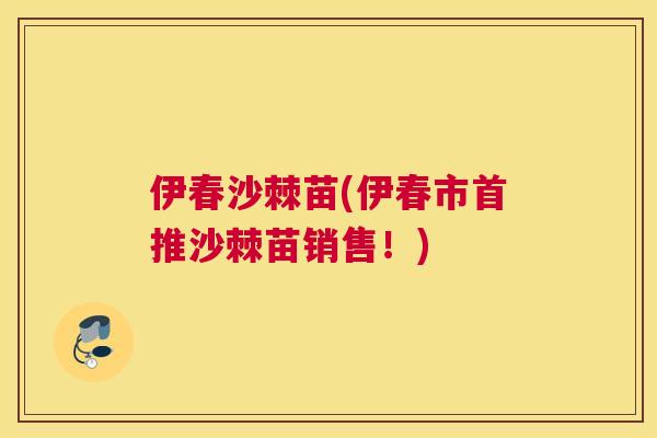伊春沙棘苗(伊春市首推沙棘苗销售！)