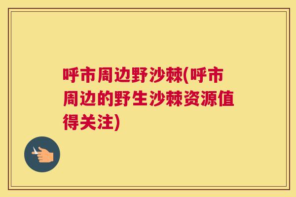 呼市周边野沙棘(呼市周边的野生沙棘资源值得关注)