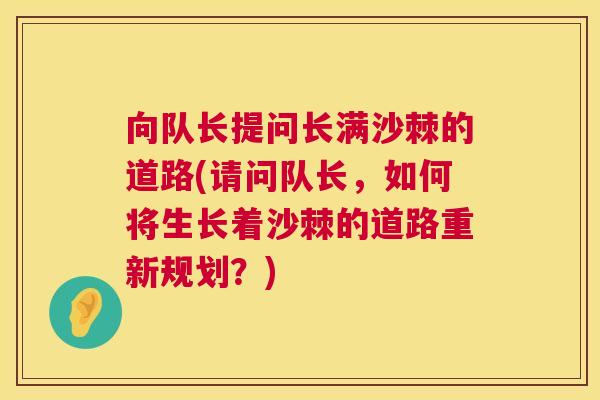 向队长提问长满沙棘的道路(请问队长，如何将生长着沙棘的道路重新规划？)