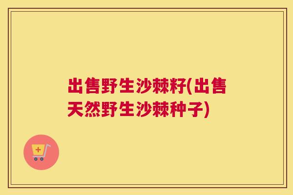 出售野生沙棘籽(出售天然野生沙棘种子)