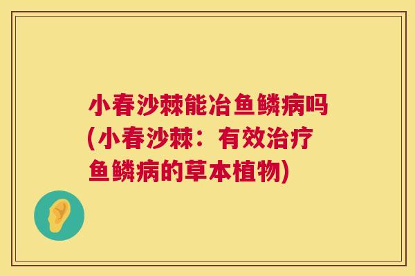 小春沙棘能冶鱼鳞病吗(小春沙棘：有效治疗鱼鳞病的草本植物)