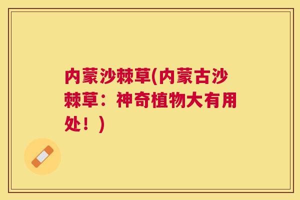 内蒙沙棘草(内蒙古沙棘草：神奇植物大有用处！)