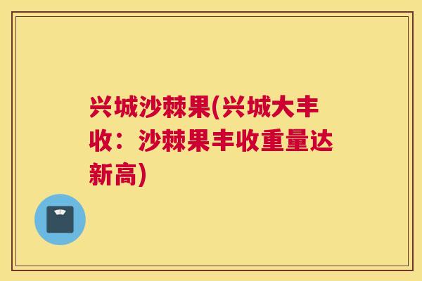 兴城沙棘果(兴城大丰收：沙棘果丰收重量达新高)