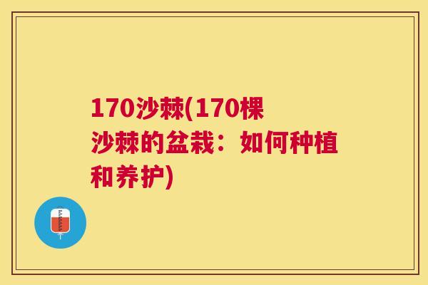 170沙棘(170棵沙棘的盆栽：如何种植和养护)