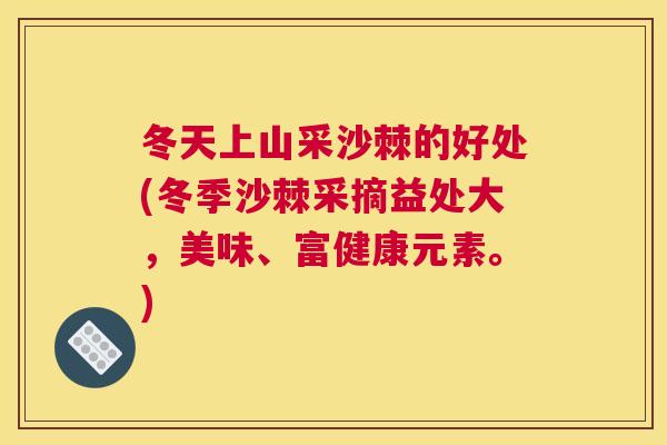 冬天上山采沙棘的好处(冬季沙棘采摘益处大，美味、富健康元素。)