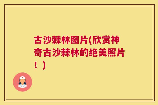 古沙棘林图片(欣赏神奇古沙棘林的绝美照片！)