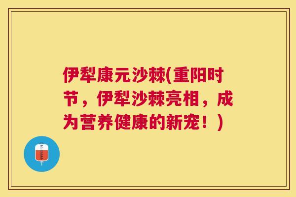 伊犁康元沙棘(重阳时节，伊犁沙棘亮相，成为营养健康的新宠！)