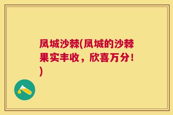 凤城沙棘(凤城的沙棘果实丰收，欣喜万分！)