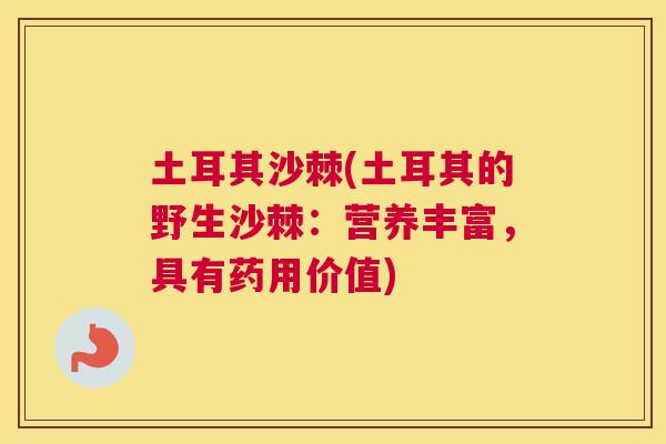 土耳其沙棘(土耳其的野生沙棘：营养丰富，具有药用价值)
