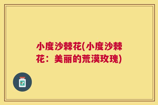 小度沙棘花(小度沙棘花：美丽的荒漠玫瑰)