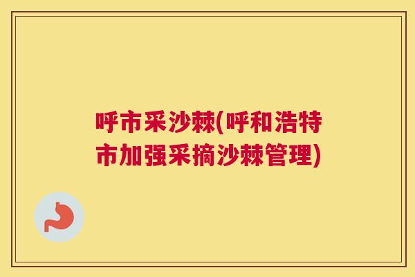 呼市采沙棘(呼和浩特市加强采摘沙棘管理)