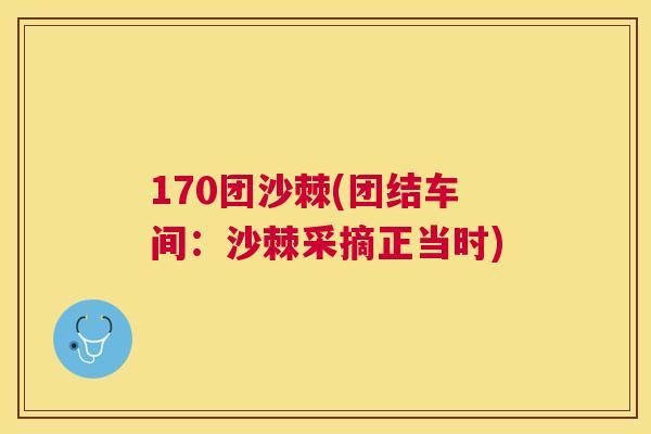 170团沙棘(团结车间：沙棘采摘正当时)