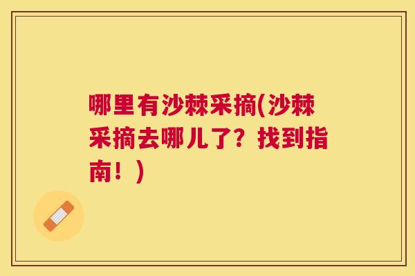哪里有沙棘采摘(沙棘采摘去哪儿了？找到指南！)