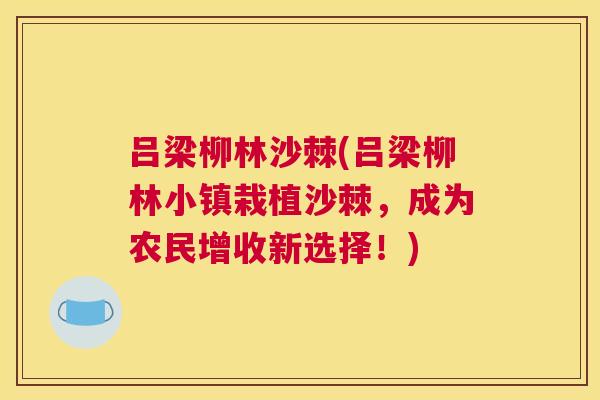 吕梁柳林沙棘(吕梁柳林小镇栽植沙棘，成为农民增收新选择！)