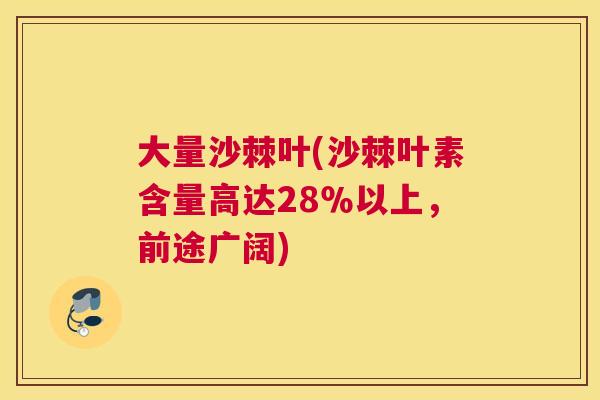 大量沙棘叶(沙棘叶素含量高达28%以上,前途广阔) 大量沙棘叶(沙棘叶素含量高达28%以上,前途广阔)