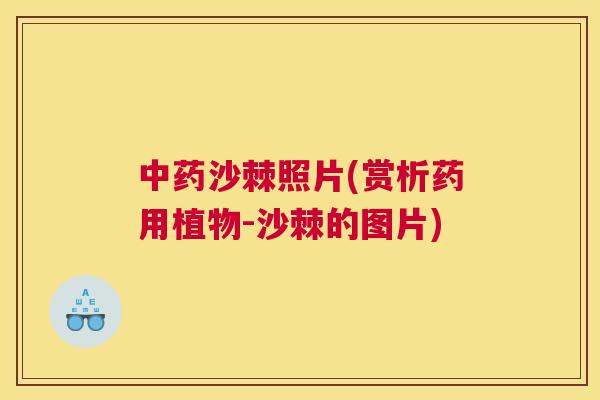 中药沙棘照片(赏析药用植物-沙棘的图片)