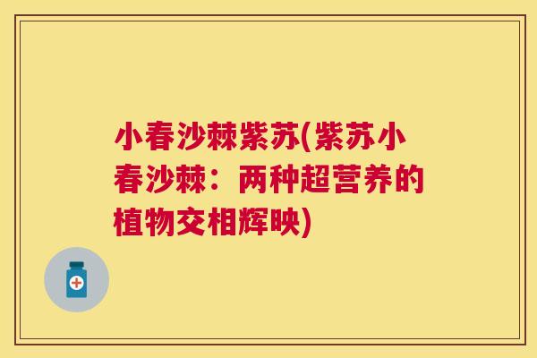 小春沙棘紫苏(紫苏小春沙棘：两种超营养的植物交相辉映)