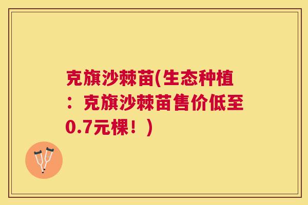 克旗沙棘苗(生态种植：克旗沙棘苗售价低至0.7元棵！)