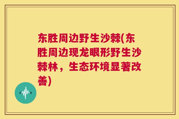 东胜周边野生沙棘(东胜周边现龙眼形野生沙棘林，生态环境显著改善)