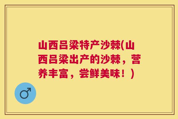 山西吕梁特产沙棘(山西吕梁出产的沙棘，营养丰富，尝鲜美味！)