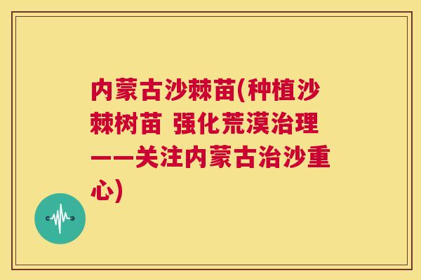 内蒙古沙棘苗(种植沙棘树苗 强化荒漠治理——关注内蒙古治沙重心)