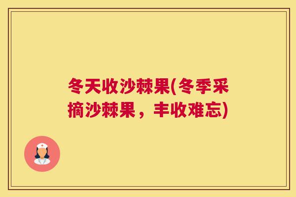 冬天收沙棘果(冬季采摘沙棘果，丰收难忘)