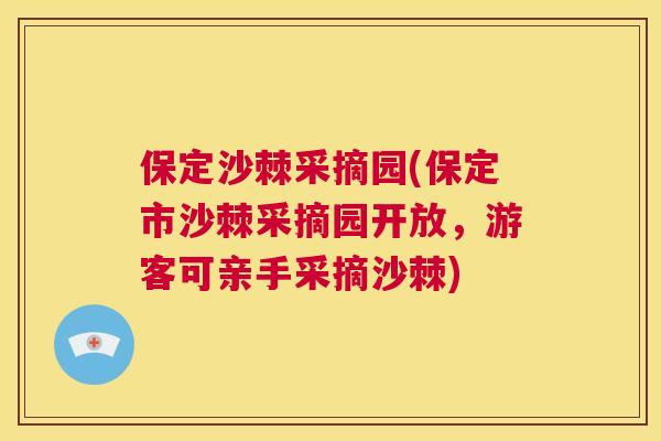 保定沙棘采摘园(保定市沙棘采摘园开放,游客可亲手采摘沙棘)