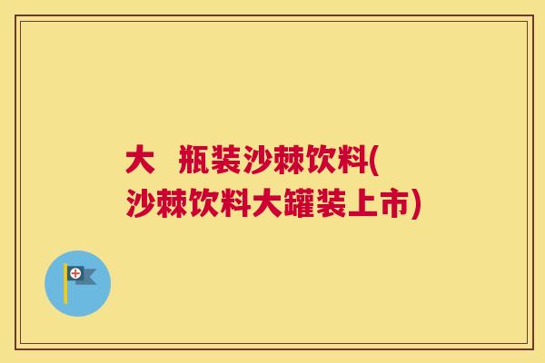 大  瓶装沙棘饮料(沙棘饮料大罐装上市)