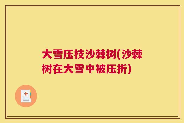大雪压枝沙棘树(沙棘树在大雪中被压折)