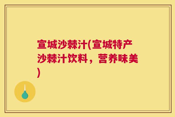 宣城沙棘汁(宣城特产沙棘汁饮料，营养味美)
