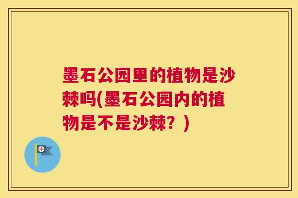 墨石公园里的植物是沙棘吗(墨石公园内的植物是不是沙棘?) 墨石公园里的植物是沙棘吗(墨石公园内的植物是不是沙棘?)