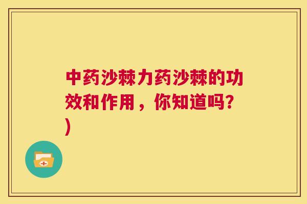 中药沙棘力药沙棘的功效和作用，你知道吗？)