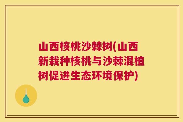 山西核桃沙棘树(山西新栽种核桃与沙棘混植树促进生态环境保护)