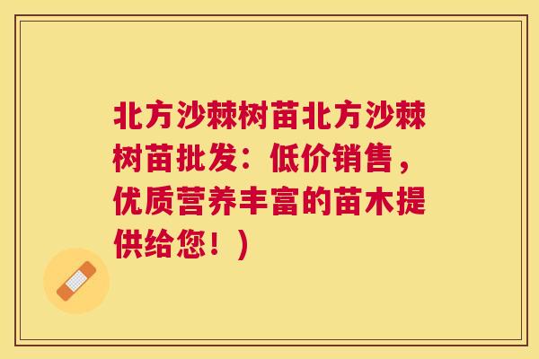 北方沙棘树苗北方沙棘树苗批发：低价销售，优质营养丰富的苗木提供给您！)