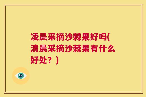 凌晨采摘沙棘果好吗(清晨采摘沙棘果有什么好处？)