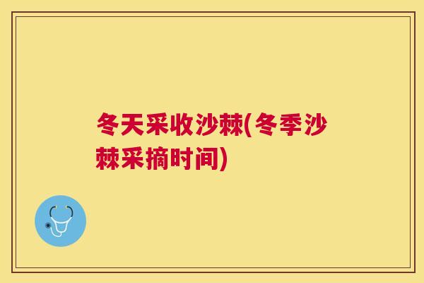 冬天采收沙棘(冬季沙棘采摘时间)