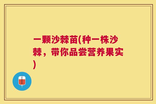 一颗沙棘苗(种一株沙棘，带你品尝营养果实)