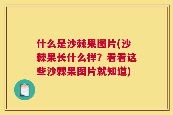 什么是沙棘果图片(沙棘果长什么样？看看这些沙棘果图片就知道)