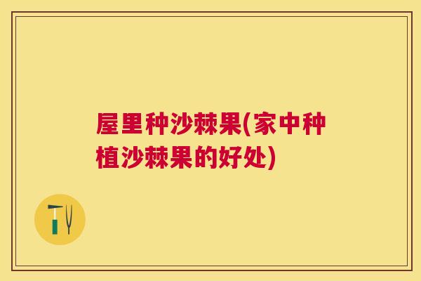 屋里种沙棘果(家中种植沙棘果的好处)