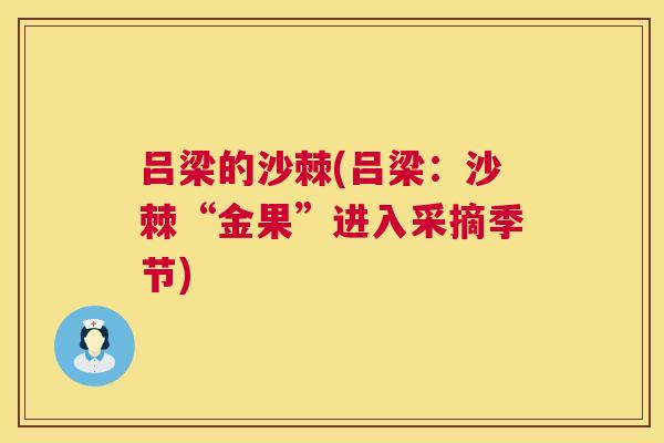 吕梁的沙棘(吕梁：沙棘“金果”进入采摘季节)