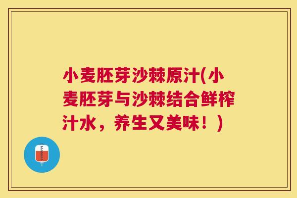 小麦胚芽沙棘原汁(小麦胚芽与沙棘结合鲜榨汁水，养生又美味！)