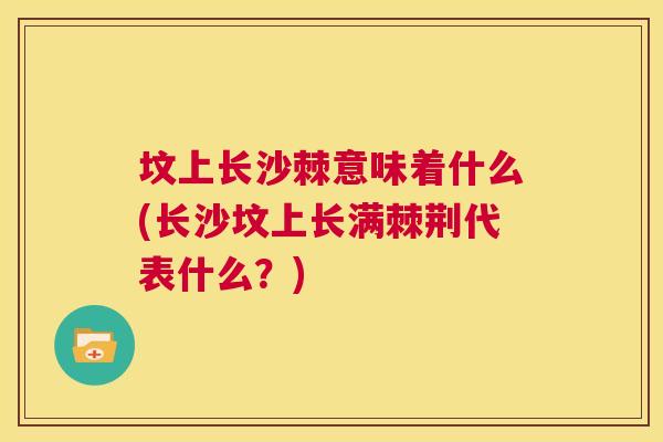 坟上长沙棘意味着什么(长沙坟上长满棘荆代表什么?) 坟上长沙棘意味着什么(长沙坟上长满棘荆代表什么?)