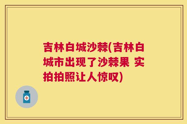 吉林白城沙棘(吉林白城市出现了沙棘果 实拍拍照让人惊叹)