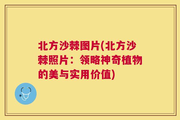 北方沙棘图片(北方沙棘照片：领略神奇植物的美与实用价值)