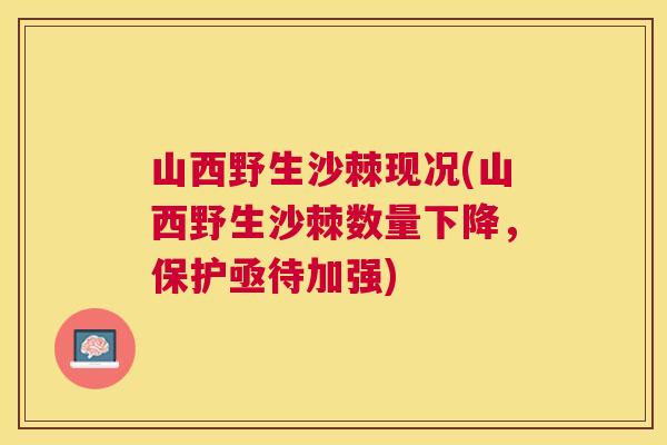 山西野生沙棘现况(山西野生沙棘数量下降，保护亟待加强)