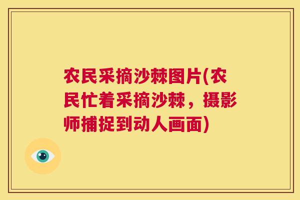 农民采摘沙棘图片(农民忙着采摘沙棘，摄影师捕捉到动人画面)